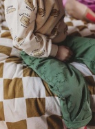 W24-1515/Evergreen Штаны SPROET & SPROUT мальчики, фото 2