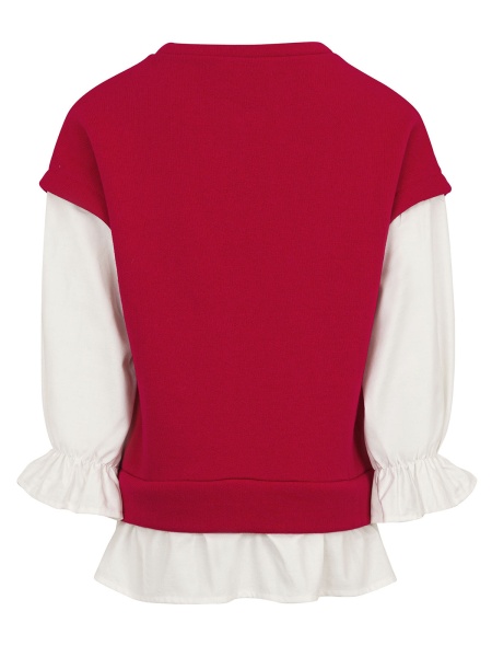 DV4A10 Z2471/461 Свитшот DOUUOD, фото 2