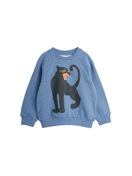 1100029960 Свитшот Mini Rodini мальчики